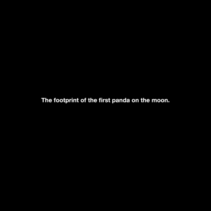 Michael Schirner, "The footprint of the first panda on the moon"