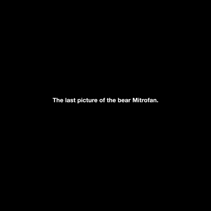 Michael Schirner, "The last picture of the bear Mitrofan"